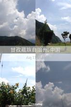晨雾枫露文集