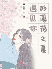 遇见你的薄荷之夏