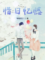 惜日忆憾