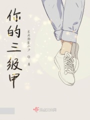 你的三级甲