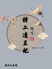 特工凌王妃