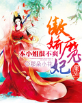 傲娇魔妃:本小姐很不爽