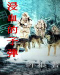 浸血的子弹