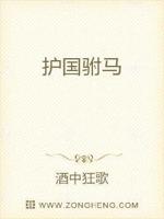 护国驸马