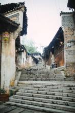 杜心怡文集