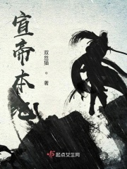 宣帝本纪