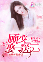 娇妻太生猛:顾少,娶一送二!