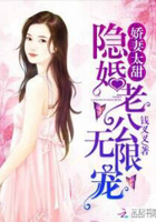 娇妻太甜:隐婚老公,无限宠