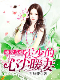 盛爱成婚:霍少的心尖暖妻