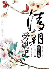 清朝旁观记