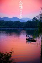 陈真文集