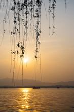 翠莲文集