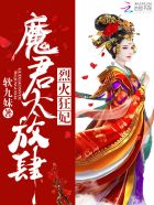 烈火狂妃:魔君,太放肆!
