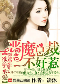 恶魔总裁不好惹:欲锦承爱
