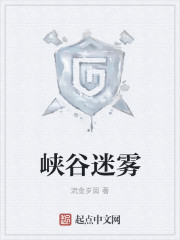 峡谷迷雾