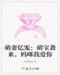 萌妻亿宠:萌宝袭来,妈咪我爱你