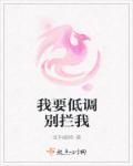 我要低调别拦我