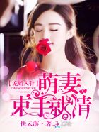 宠婚入骨:萌妻束手就情