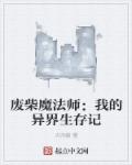 废柴魔法师:我的异界生存记