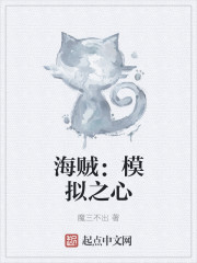海贼:模拟之心