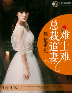 燃情重生:总裁追妻难上难