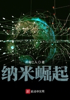 纳米崛起