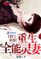 名门枭宠:重生全能灵妻