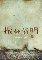 振奋新明