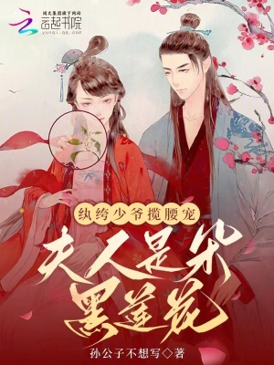 纨绔少爷揽腰宠,夫人是朵黑莲花