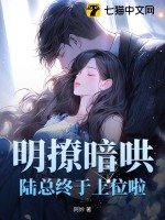 明撩暗哄,陆总终于上位啦