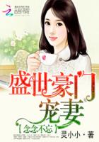 念念不忘:盛世豪门宠妻