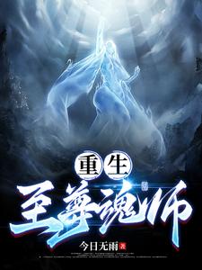 重生:至尊魂师