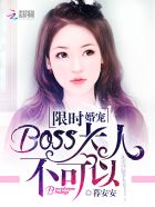 限时婚宠:BOSS大人,不可以