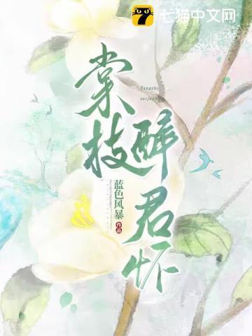 棠枝醉君怀