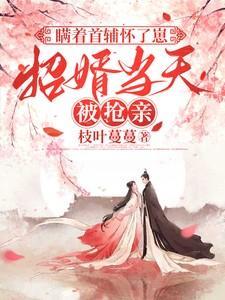 瞒着首辅怀了崽,招婿当天被抢亲