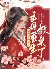 抬外室换亲子?主母重生掀桌了