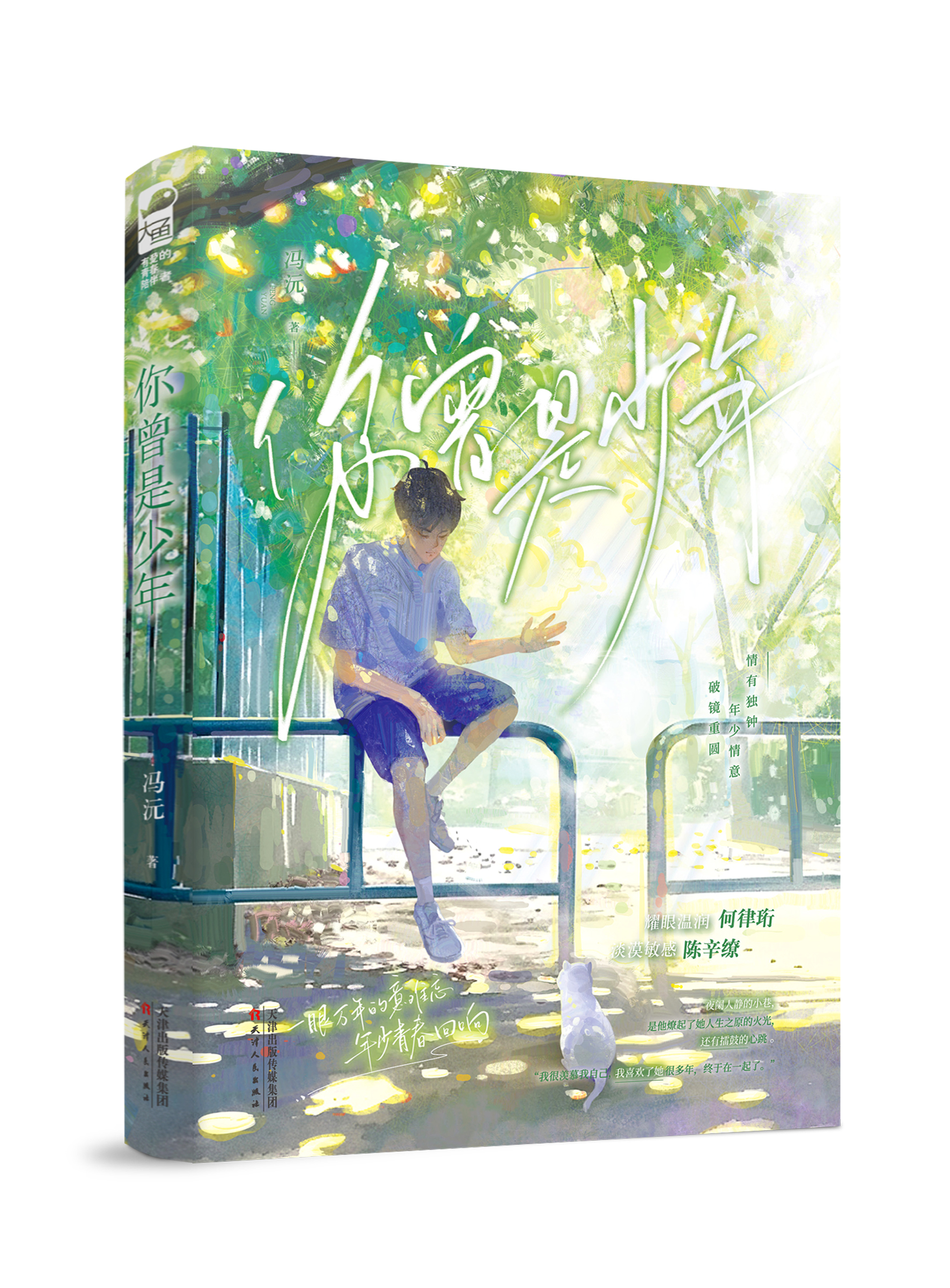 你曾是少年