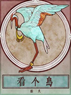看个鸟