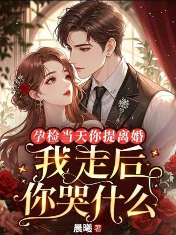 孕检当天你提离婚,我走后你哭什么
