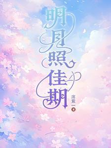 明月照佳期
