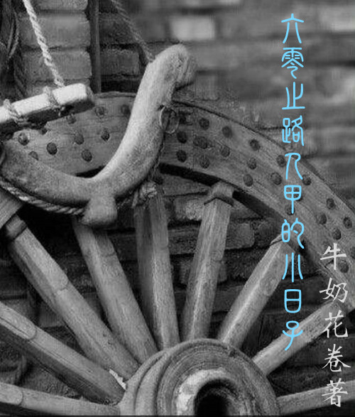 六零之路人甲的小日子