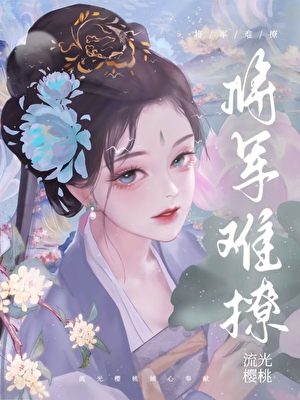 将军难撩