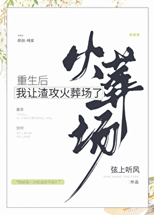 重生后我让渣攻火葬场了