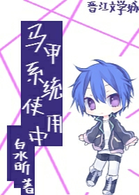 马甲系统使用中