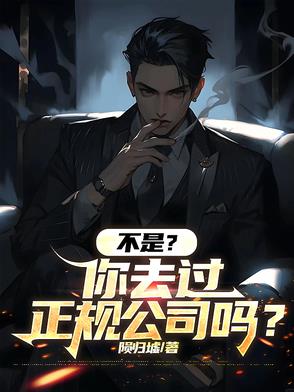 不是?你去过正规公司吗?
