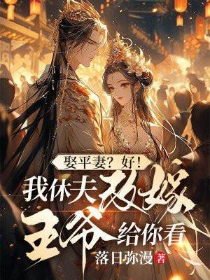 娶平妻?好!我休夫改嫁王爷给你看