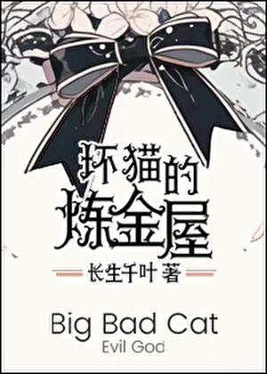 坏猫的炼金屋
