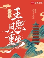 红楼:重生王熙凤携贾琏逆风翻盘