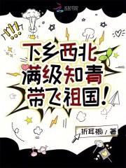 下乡西北,满级知青带飞祖国!
