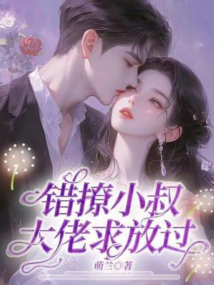 错撩小叔:大佬求放过